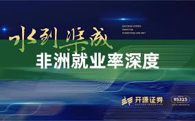 非洲就业率深度